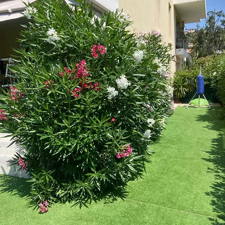 Tres Belle Appartement Cagnes-sur-Mer