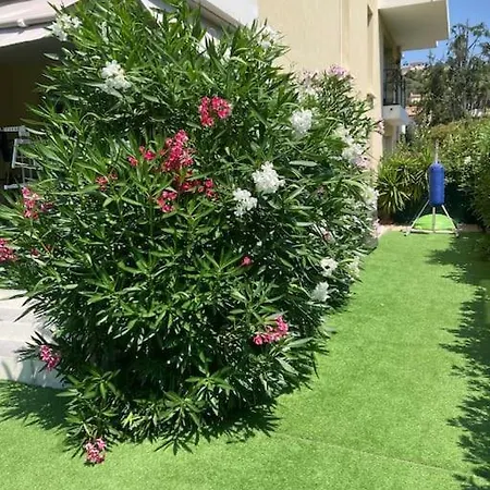 Tres Belle קאן סור מר